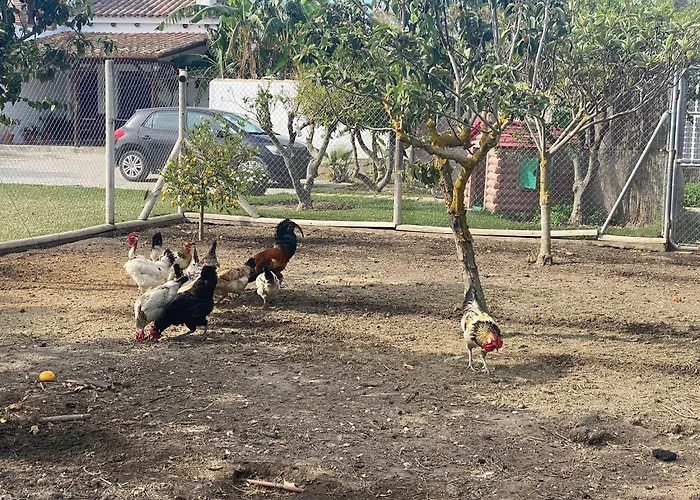 Quinta Mangueta Es Casa Con Piscina En Zahora Cerca De La Playa 度假居