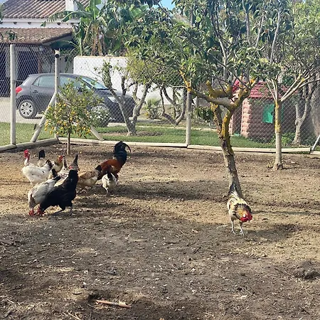 Quinta Mangueta Es Casa Con Piscina En Zahora Cerca De La Playa Casa vacanze