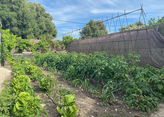 Quinta Mangueta Es Casa Con Piscina En Zahora Cerca De La Playa * Cadice